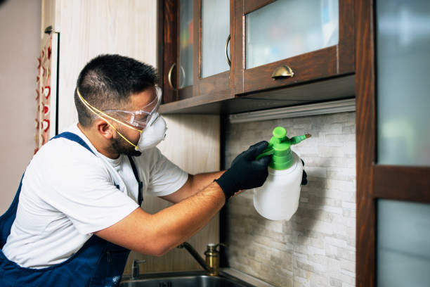 Trusted Ridgely, TN Pest Control Experts