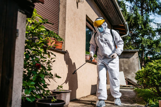 Best Residential Pest Control  in Ridgely, TN
