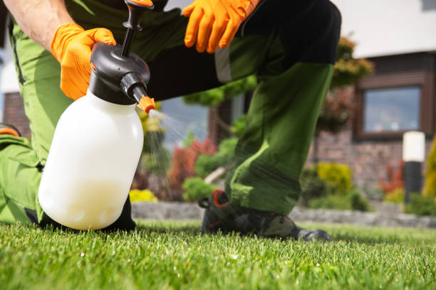 Best Affordable Pest Control Services  in Ridgely, TN