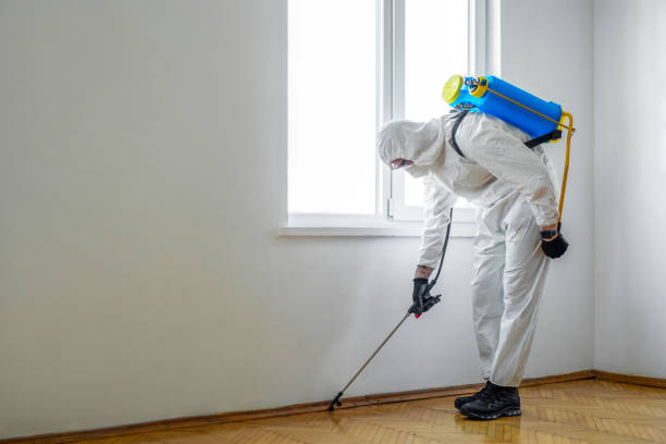 Best Local Pest Control Services  in Ridgely, TN